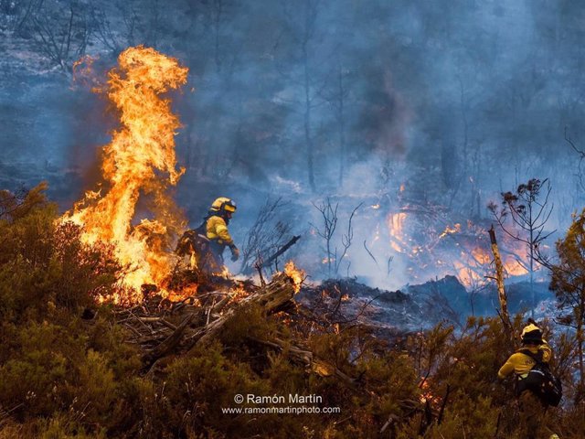 Archivo - Efectivos del Infoca luchando contra el fuego en Los Guájares (Granada). Archivo.