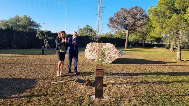 La UCA planta un alcornoque en honor a Alejandro Sanz en su campus de Puerto Real