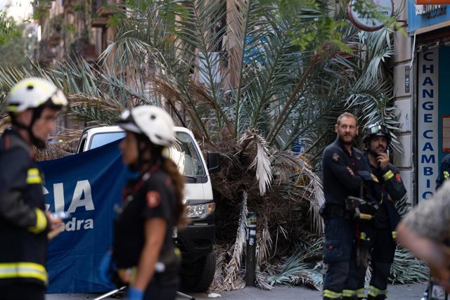 Archivo - Bomberos y Mossos d'Esquadra acuden al Raval de Barcelona donde ha caído una palmera a una mujer, a 3 de agosto de 2023, en Barcelona, Catalunya (España). Una mujer de 20 años ha muerto hoy al caerle encima una palmera en la calle Joaquim Costa 