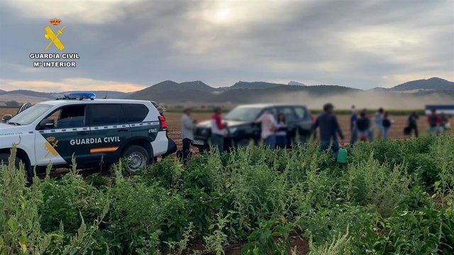Inspección de la Guardia Civil en una explotación agrícola en Villamartín.