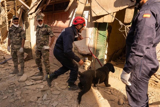 Efectivo del contigente de Bomberos Unidos Sin Fronteras desplazado a Marruecos junto a uno de los perros de rescate.