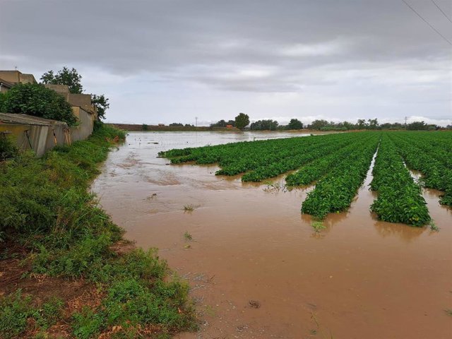 Daños por la DANA en la provincia de Toledo.