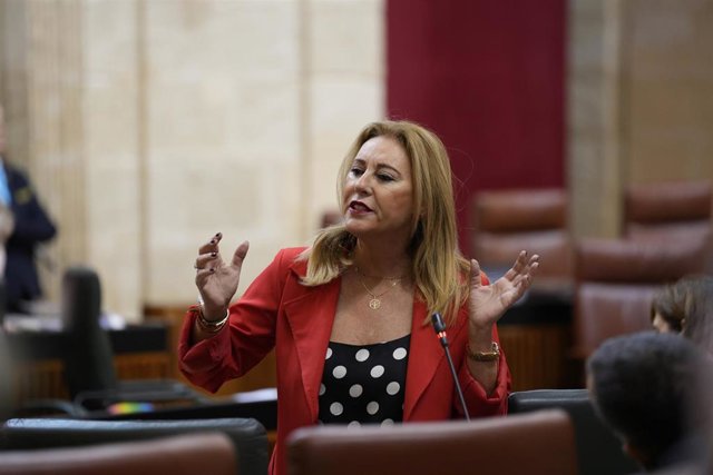 La consejera de Economía, Hacienda y Fondos Europeos, Carolina España, este jueves ante el Pleno del Parlamento