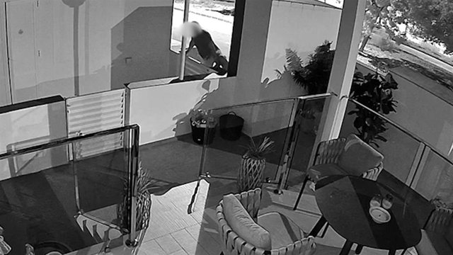 Imagen del presunto autor de los hechos en plena acción