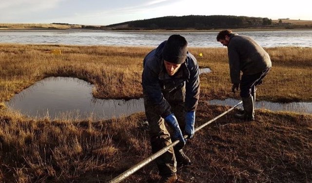 El núcleo de sedimento se extrae del estuario de Ythan.