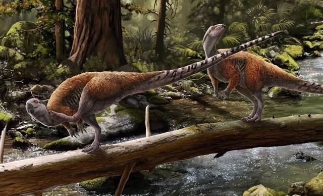 New species of small, genuinely European dinosaur