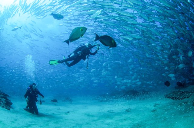 Turismo en Los Cabos