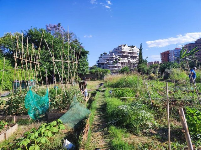 Archivo - Imagen de archivo de huertos y edificios en el barrio valenciano de Benimaclet.