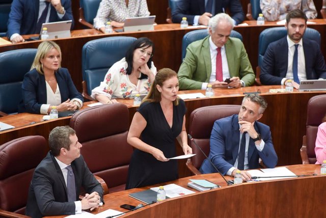 Ana Dávila-Ponce de León. Asamblea