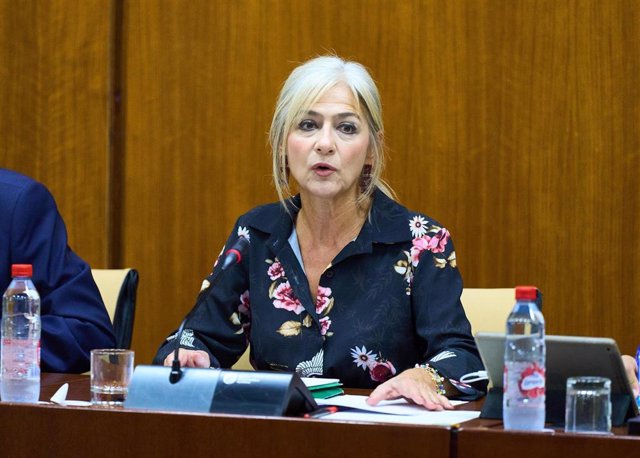 La consejera de Desarrollo Educativo y Formación Profesional, Patricia del Pozo, en comisión parlamentaria