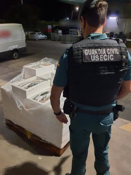 Un agente de la Guardia Civil con el pescado intervenido.