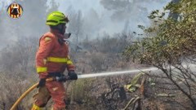 Efectivos trabajan en la extinción del incendio de Sagunt