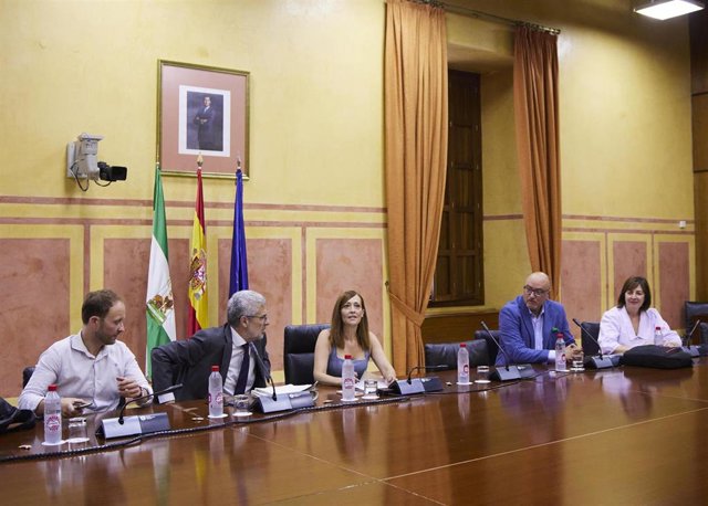 Archivo - Reunión de la comisión de investigación sobre la Faffe en el Parlamento andaluz (Fotografía de archivo)