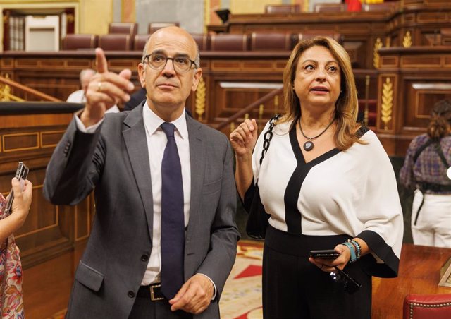 Archivo - Los diputados Alberto Catalán, de UPN, y Cristina Valido, de Coalición Canaria, en el Congreso