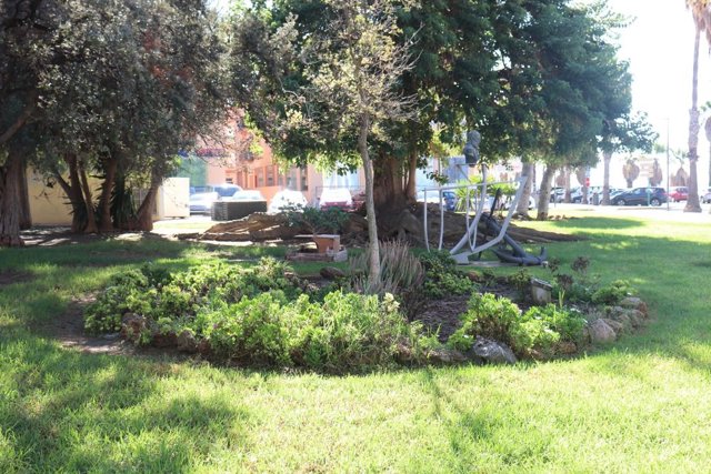 El Ayuntamiento de Puerto Real dejará de regar parques y jardines en otoño para ahorrar agua y combatir la sequía