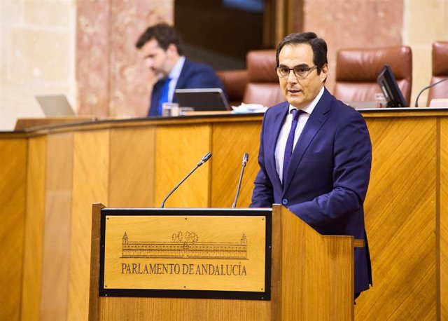 El consejero de Justicia, Administración Local y Función Pública, José Antonio Nieto, comparece en el Pleno del Parlamento andaluz.