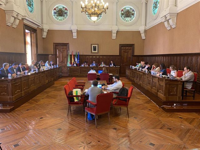Pleno de la Diputación de Jaén