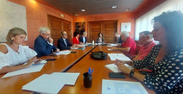 Consejo de Administración del Sespa