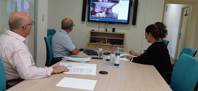 Mata, junto a personal de la Delegación de Empleo, durante el seminario web.