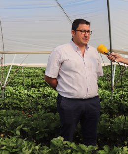 Archivo - Manuel Delgado, portavoz de la AAPD, en explotaciones de Doñana.