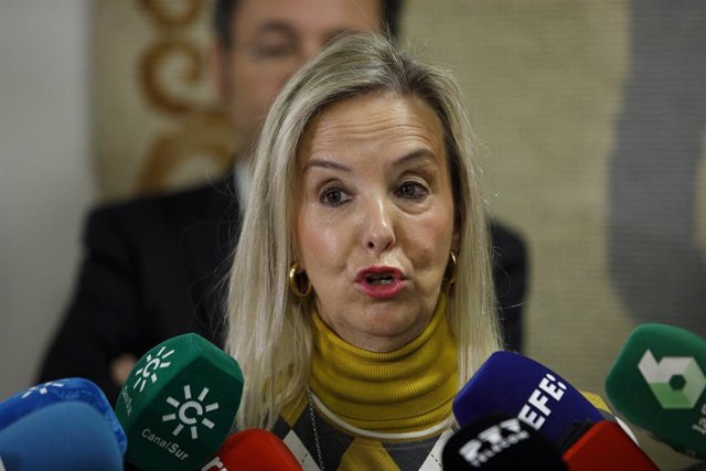 Archivo - La fiscal Jefe Superior de Andalucía, Ana Tárrago, en una imagen de archivo.
