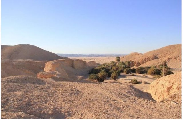 Vista general del humedal ribereño Wadi Gharandal a lo largo del valle del Rift del Jordán.