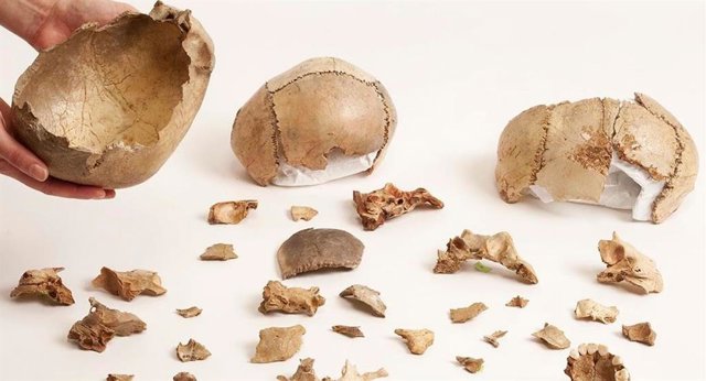 Restos humanos de todo el noroeste de Europa indican que el canibalismo era una práctica funeraria.