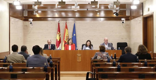 La consejera de Empresas, Economía y Empleo, Patricia Franco, comparece en la Comisión de Economía, Empresas y Empleo.