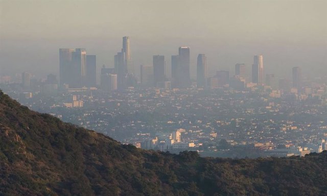 Aunque el isopreno de los árboles puede empeorar la contaminación del aire, no es lo que crea un smog como este