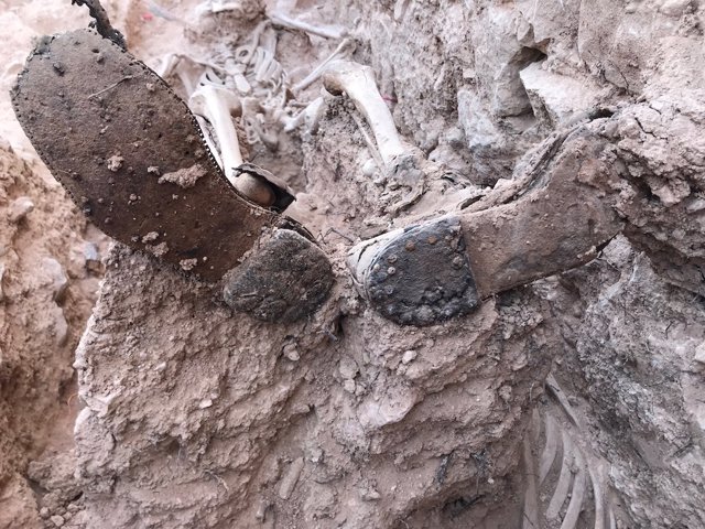 Botes i restes d'un soldat republicà recuperats d'una fossa comuna de la batalla de les Garrigues (Lleida)