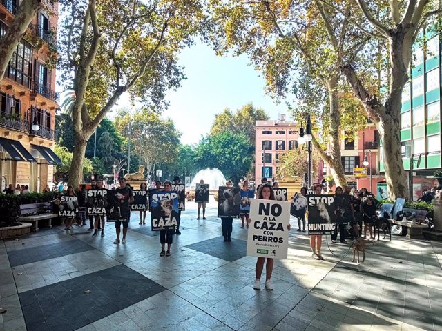 Animalistas protestan en Palma contra la caza con perros para mostrar "una barbaridad oculta".