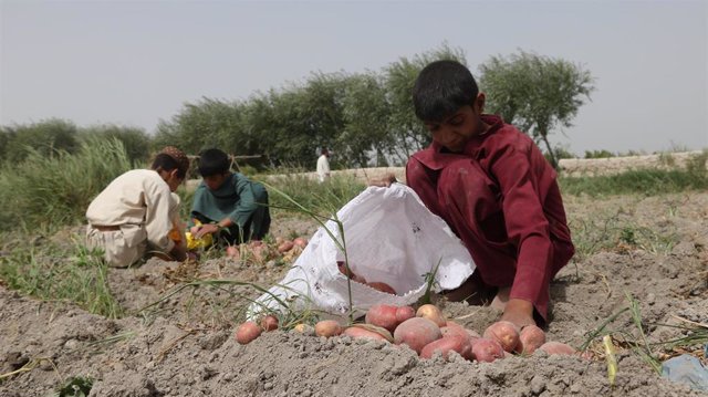 Archivo - Imagenes de niños en la provincia afgana de Herat 