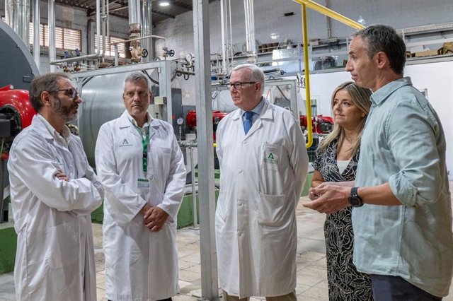 Visita a la central térmica del Hospital de Jaén