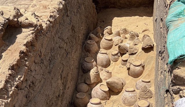Jarras de vino de 5.000 años de antigüedad en la tumba de la reina Meret-Neith en Abydos durante la excavación. Los frascos se encuentran en su contexto original y algunos de ellos aún están sellados.