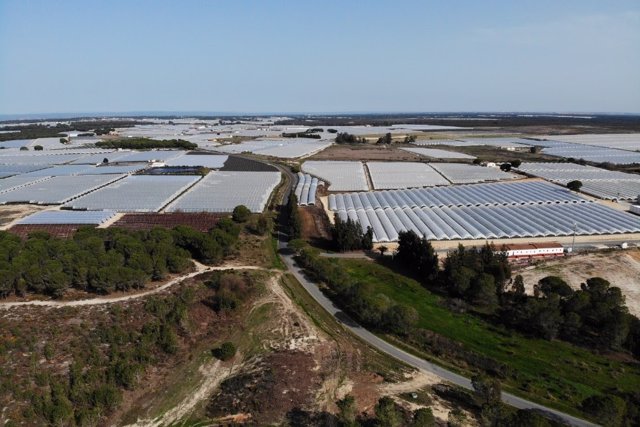 Archivo - Vista área de una finca de regadios en Doñana. (Foto de archivo).