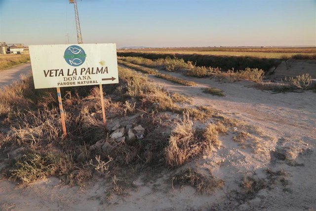 Entrada a la finca "Veta La Palma" que la Junta de Andalucía va a comprar para ampliar el terreno de Doñana. A 12 de septiembre de 2023 en La Puebla del Río en Sevilla, (Andalucía, España).