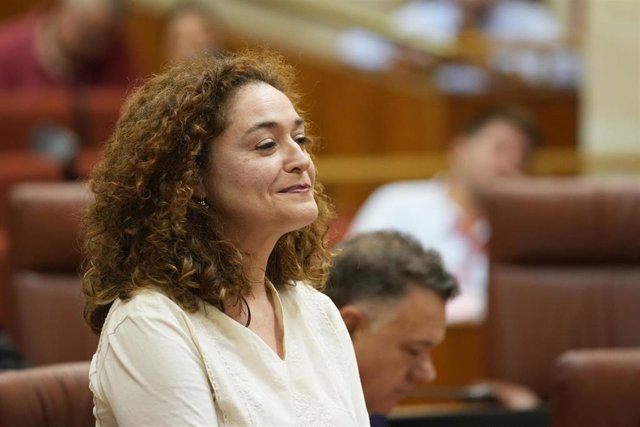 Inmaculada Nieto, portavoz de Por Andalucía.