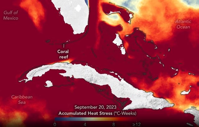 Estrés térmico para el coral en las aguas circundantes de Cuba, Florida y Bahamas