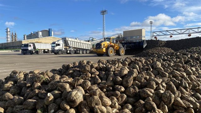 Arranca la campaña remolachera en ACOR, que prevé molturar 1.100.000 toneladas recogidas en 10.000 hectáreas .