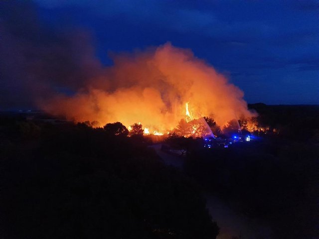 Incendio forestal en El Saler (Valencia)