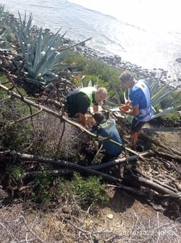 Rescatada en una ladera una mujer desaparecida en Tarifa durante 22 horas.