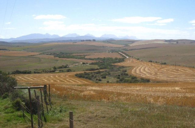 Un uso optimizado de la tierra teniendo en cuenta las condiciones climáticas podría aumentar los rendimientos y aun así limitar el consumo de superficie.