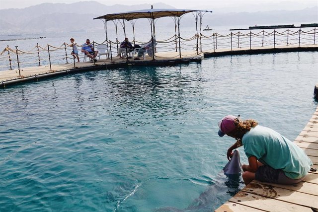 Archivo - Imagen de archivo de un parque acuático en Eilat (Israel) 