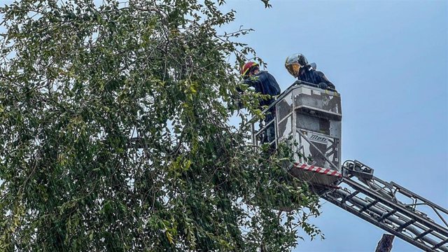 Los Bomberos de la Comunidad realizan 65 salidas por problemas ocasionados por el viento y la lluvia