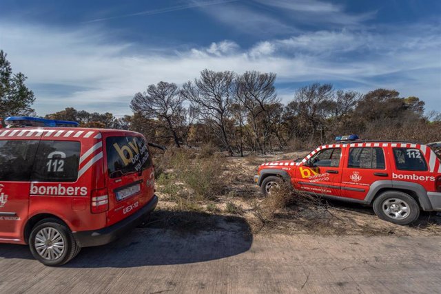 Imagen de vehículos de bomberos en la zona afectada por el incendio registrado la pasada semana en la Devesa de El Saler, en València. 