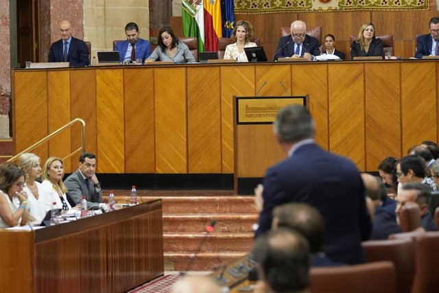 Imagen de archivo del Pleno de Parlamento durante la sesión de control al gobierno.