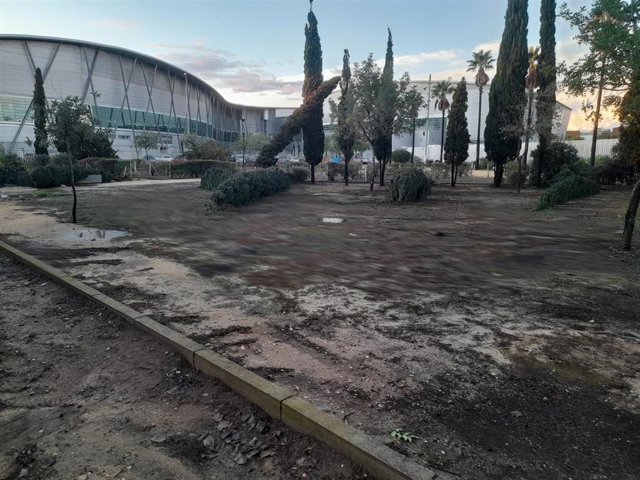 Imagen de árboles caídos en el parque de Zafra de Huelva capital tras el paso de la borrasca 'Bernard'.