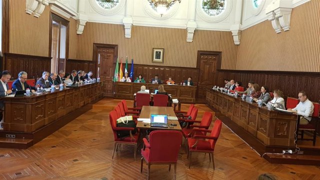 Pleno ordinario de la Diputación.