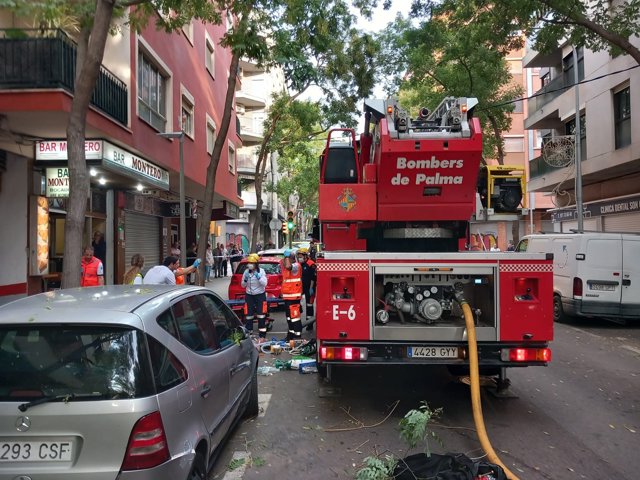 Un camión de Bomberos de Palma en la zona del incendio.