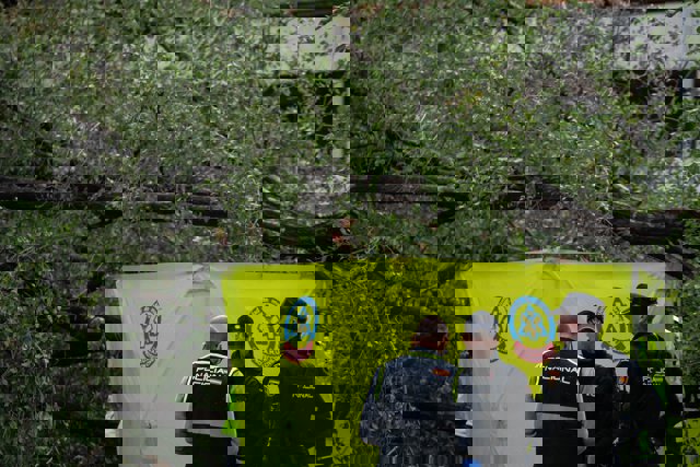 Tres agentes de Policía Nacional junto a una carpa del Samur, al lado del árbol que ha caído sobre un paseo de peatones por la borrasca ‘Ciarán’, a 2 de noviembre de 2023, en Madrid (España). 